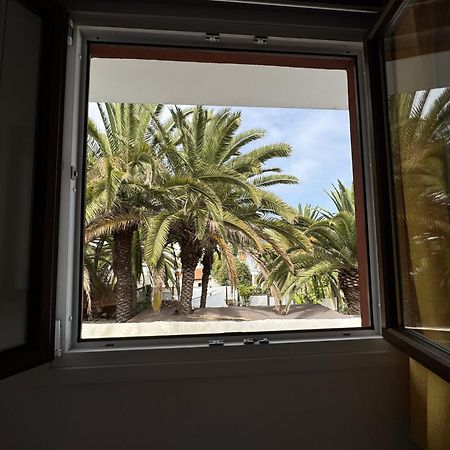Phoenix Canariensis San Juan de la Rambla Exteriör bild