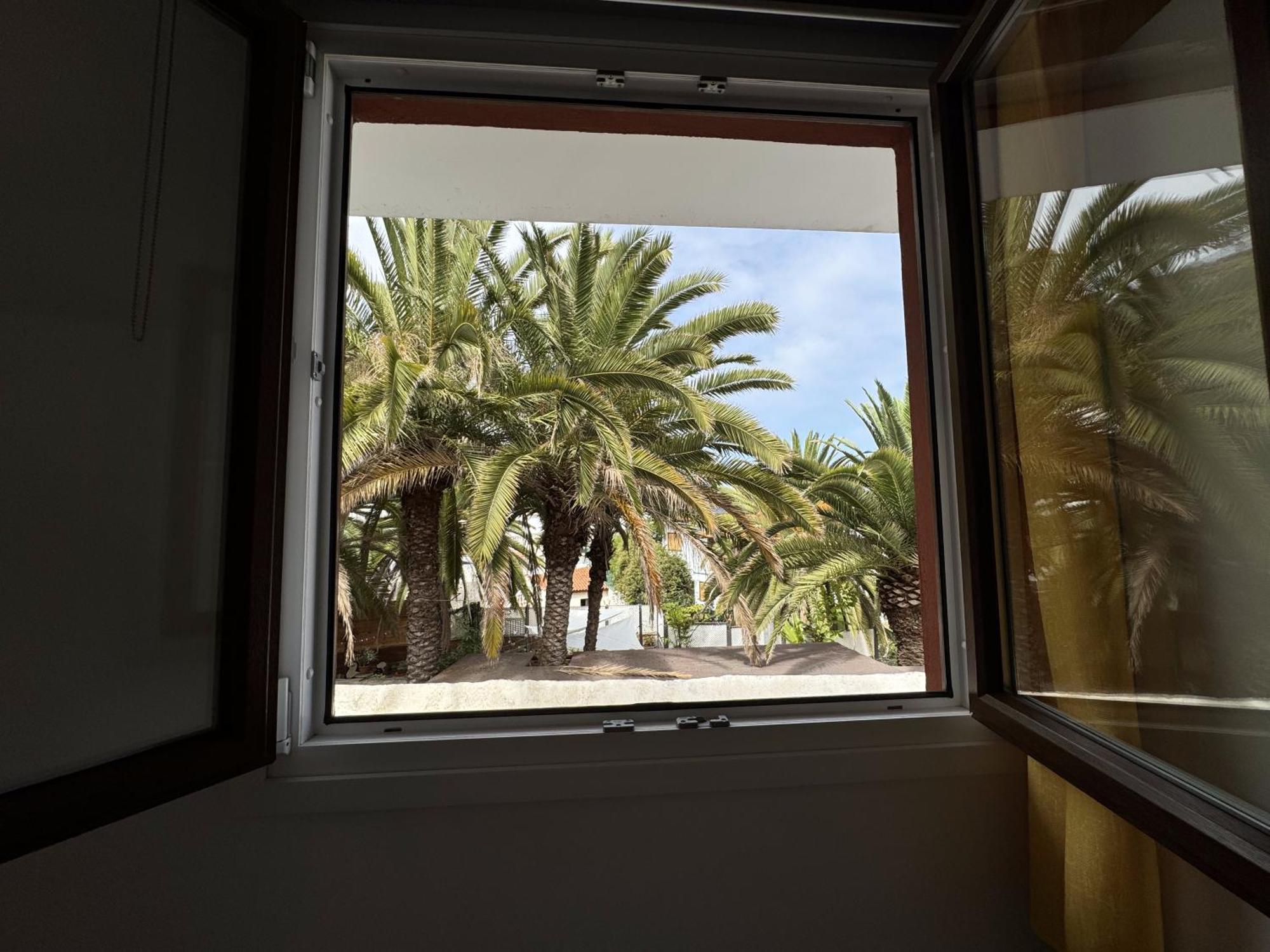 Phoenix Canariensis San Juan de la Rambla Exteriör bild