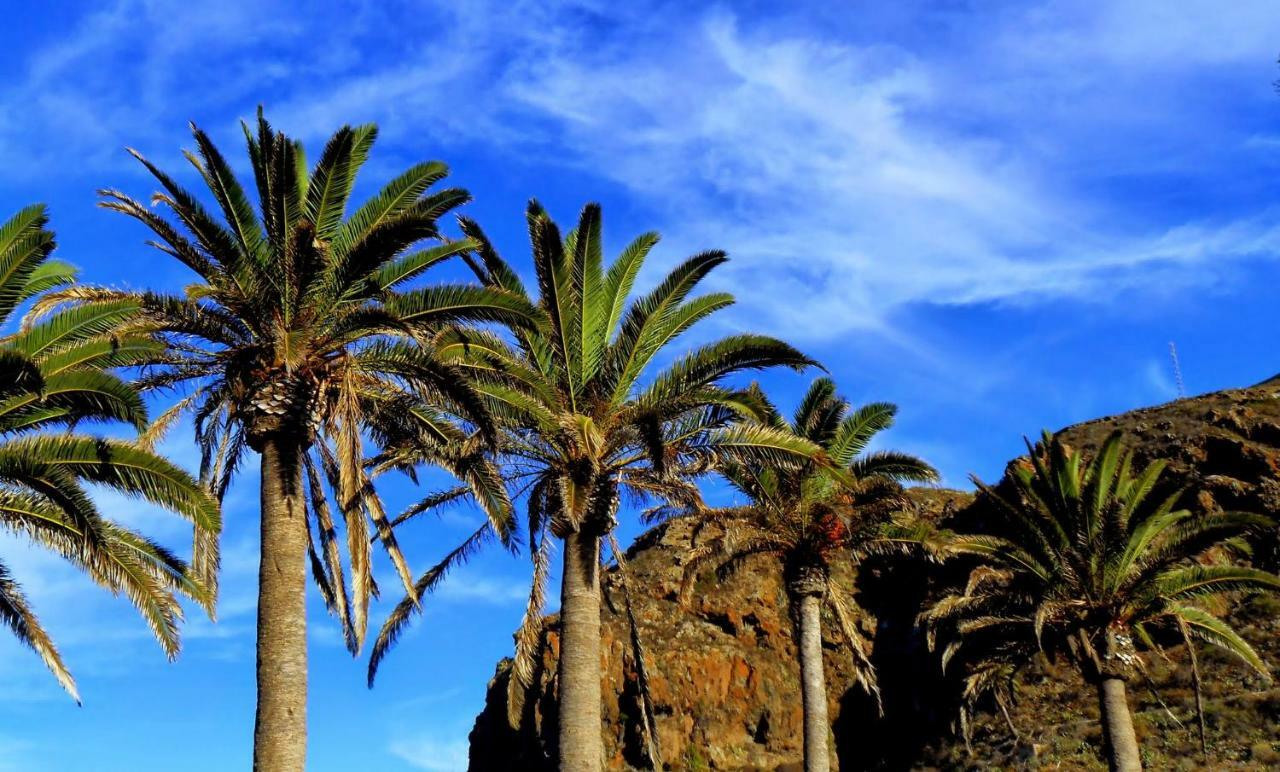 Phoenix Canariensis San Juan de la Rambla Exteriör bild